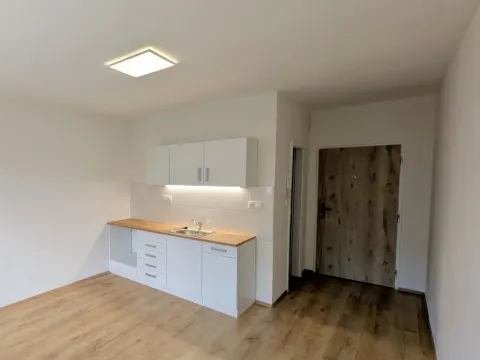 Pronájem bytu 1+kk, Sokolov, Mánesova, 19 m2