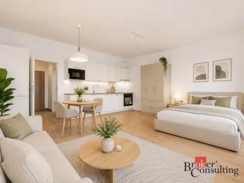 Prodej bytu 1+kk, Plzeň - Jižní Předměstí, Železná, 42 m2