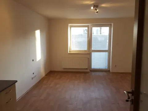 Pronájem bytu 1+kk, Opava, 28. října, 28 m2