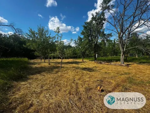Prodej zahrady, Rataje, 668 m2