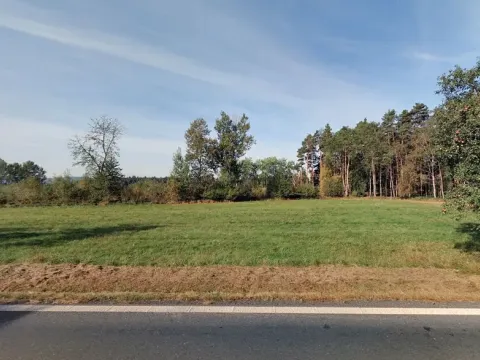 Prodej lesa, Luženičky, 15277 m2