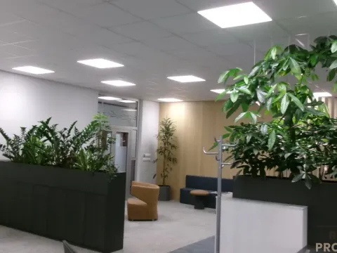 Pronájem kanceláře, Brno, Vídeňská, 342 m2