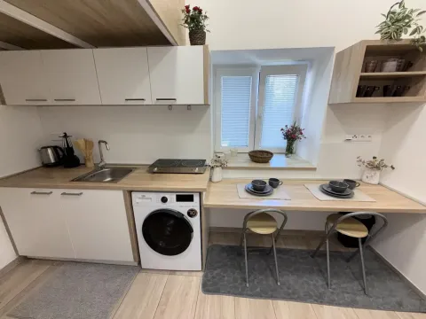 Pronájem bytu 1+kk, Opava - Předměstí, Alšova, 15 m2