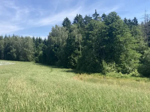 Prodej pole, Lomnice nad Popelkou - Želechy, 3130 m2
