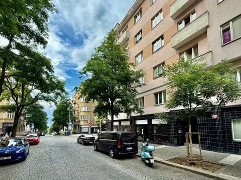 Pronájem bytu 1+1, Praha - Žižkov, Baranova, 56 m2