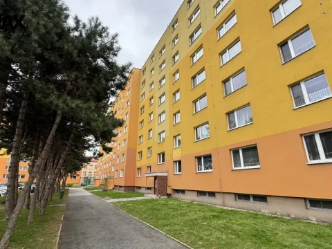 Pronájem bytu 2+1, Přerov - Přerov I-Město, Palackého, 43 m2
