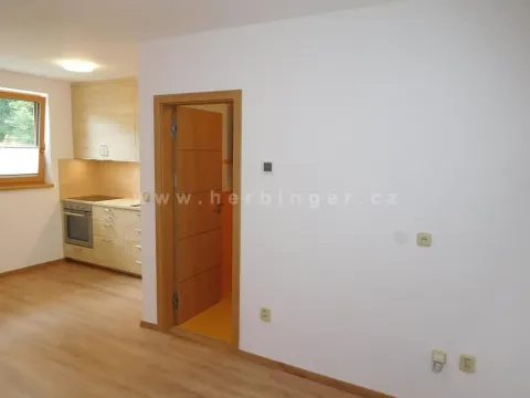 Pronájem bytu 1+kk, Šlapanice, Masarykovo náměstí, 23 m2