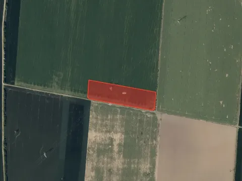 Prodej pole, Kyselovice, 8330 m2
