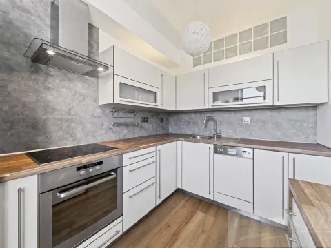 Prodej bytu 2+kk, Plzeň - Jižní Předměstí, U Radbuzy, 57 m2