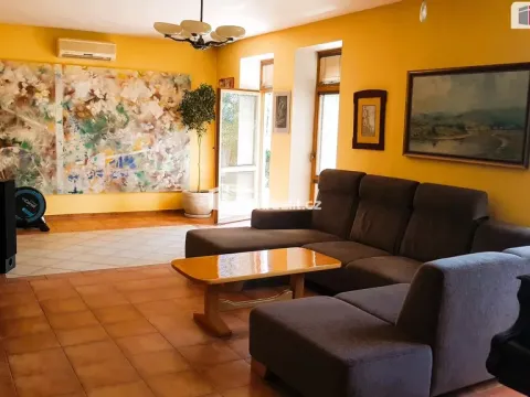Prodej rodinného domu, Hodonín, Plucárna, 303 m2