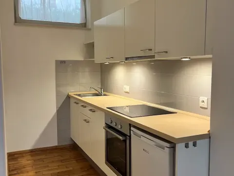 Pronájem bytu 1+kk, Praha - Karlín, Thámova, 39 m2