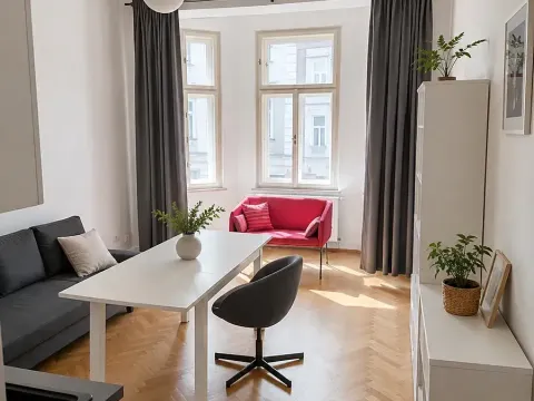 Pronájem bytu 2+kk, Praha - Nové Město, Na Zderaze, 49 m2