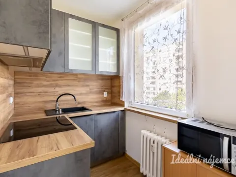 Pronájem bytu 1+kk, Praha - Chodov, Ledvinova, 29 m2