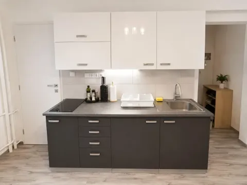 Pronájem bytu 2+1, Ústí nad Labem - Střekov, Pionýrů, 49 m2