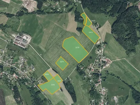 Prodej louky, Jílové u Držkova, 26037 m2