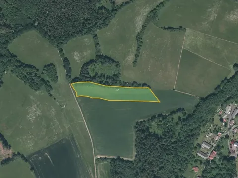 Prodej pole, Běšiny, 14151 m2