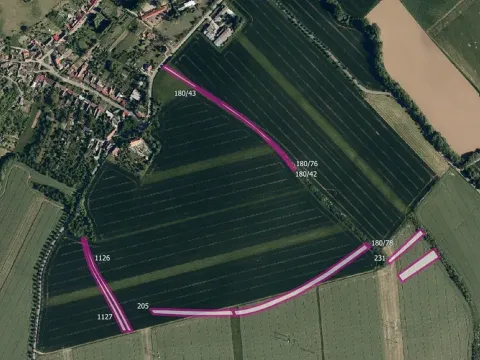 Prodej pole, Kroměříž, 7170 m2