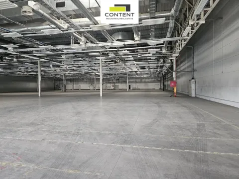 Pronájem skladu, Plzeň - Skvrňany, U Nové Hospody, 9800 m2