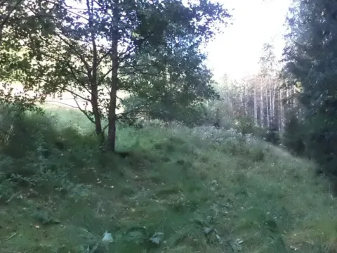 Dražba louky, Roztoky u Semil, 496 m2