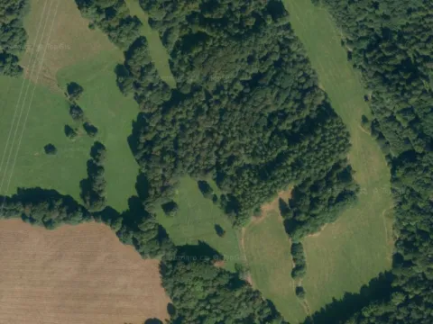 Prodej lesa, Loučná nad Desnou, 1276 m2