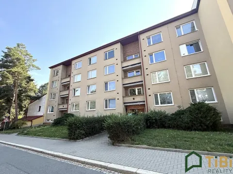 Prodej bytu 2+1, Blansko, Salmova, 55 m2