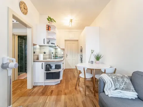 Pronájem bytu 2+kk, Praha - Dejvice, Studentská, 25 m2