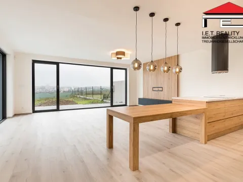Pronájem rodinného domu, Moravany, Brněnská, 216 m2