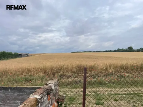 Prodej pozemku pro bydlení, Nové Syrovice, 1053 m2