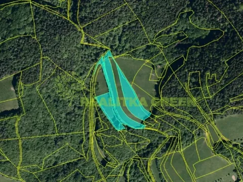 Prodej louky, Všemina, 13325 m2