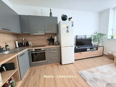 Pronájem bytu 2+kk, Ústí nad Labem - Ústí nad Labem-centrum, Velká Hradební, 46 m2