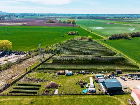 Prodej komerčního pozemku, Mlékojedy, 1000 m2