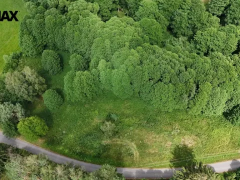 Prodej louky, Borušov, 6111 m2