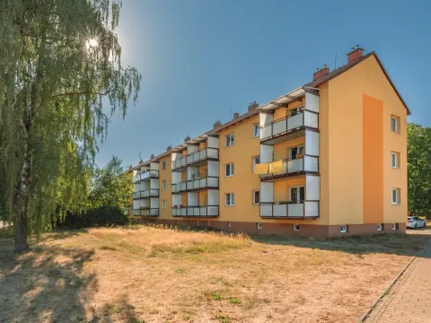 Prodej bytu 2+1, Rybitví, Školní, 50 m2