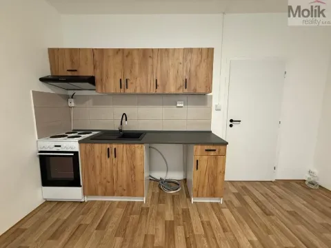 Pronájem bytu 2+kk, Ústí nad Labem - Severní Terasa, Šrámkova, 40 m2