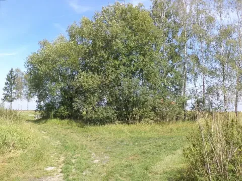 Dražba louky, Čejetice, 620 m2