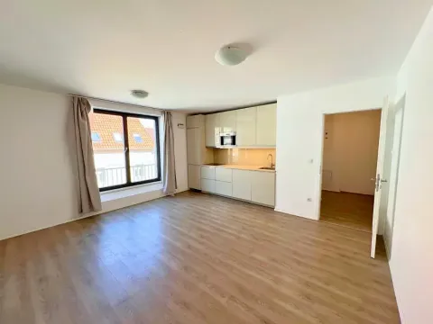 Pronájem bytu 1+kk, Praha - Smíchov, Pod Barvířkou, 36 m2