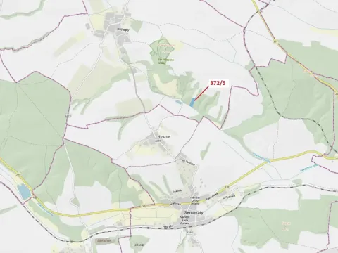 Dražba lesa, Přílepy, 7060 m2