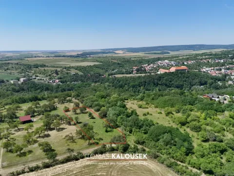 Prodej sadu/vinice, Dolní Kounice, 2107 m2
