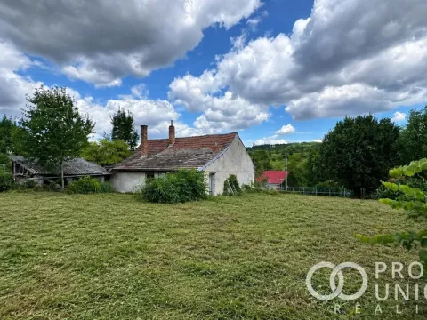 Prodej rodinného domu, Nechvalín, 100 m2
