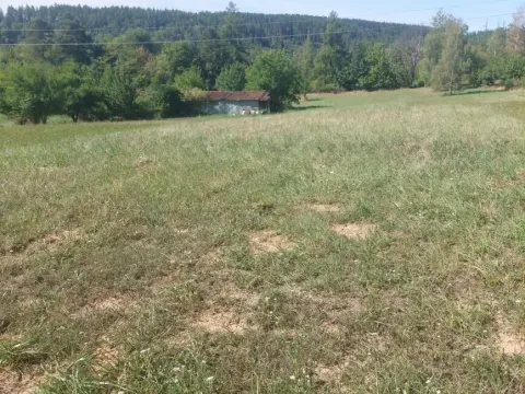 Prodej zahrady, Stražisko, 3220 m2