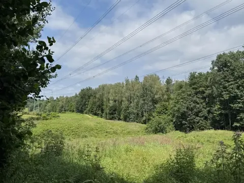 Prodej rybníku, Karviná, 12501 m2