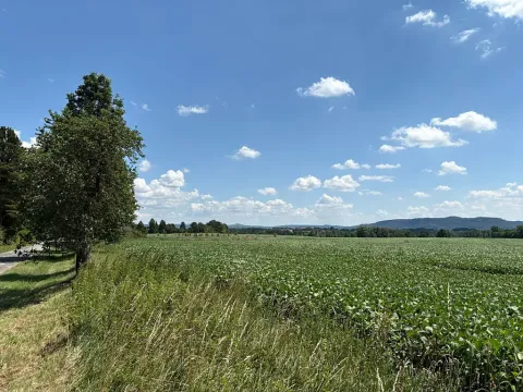 Prodej pozemku pro bydlení, Chocnějovice, 5604 m2