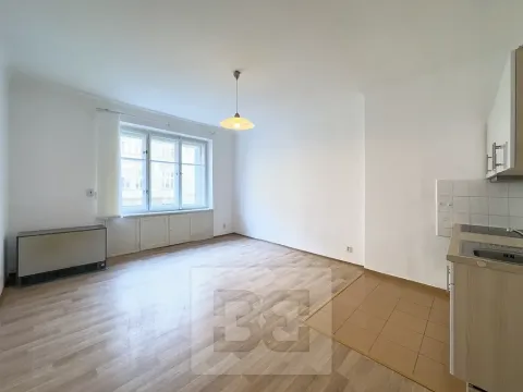 Pronájem bytu 1+kk, Praha - Nusle, Marie Cibulkové, 28 m2