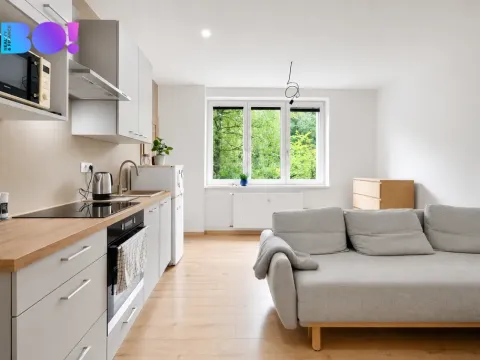 Prodej bytu 2+kk, Třinec, Beskydská, 35 m2