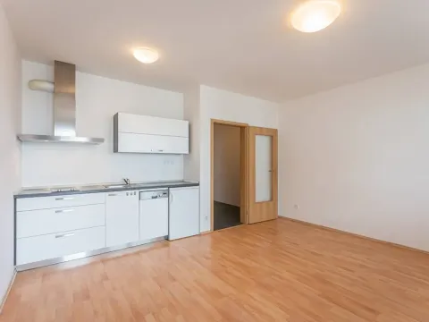 Pronájem bytu 1+kk, Praha - Michle, V dolině, 40 m2