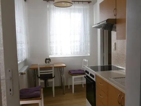 Pronájem bytu 1+1, Pardubice - Zelené Předměstí, Holcova, 33 m2