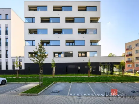 Pronájem bytu 2+kk, Plzeň - Východní Předměstí, Sladová, 54 m2