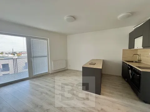 Pronájem bytu 2+kk, Olomouc, Wolkerova, 58 m2
