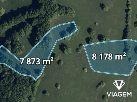 Prodej podílu pole, Javorník, 1676 m2