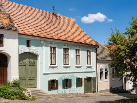 Prodej činžovního domu, Pavlov, Na Návsi, 368 m2